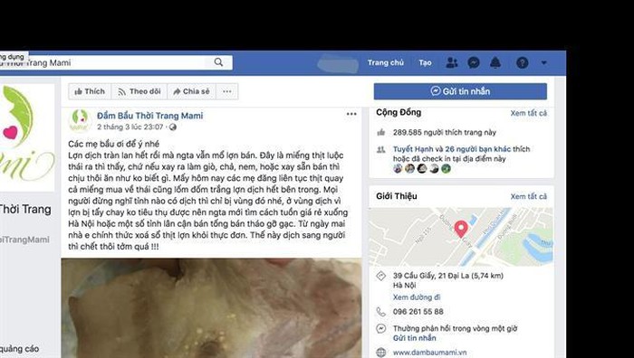 MỜI CHỦ FANPAGE ĐẾN LÀM RÕ THÔNG TIN SAI SỰ THẬT VỀ DỊCH TẢ HEO CHÂU PHI