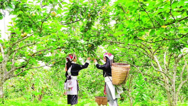 Không được phép đi ngược lại lợi ích quốc gia, dân tộc