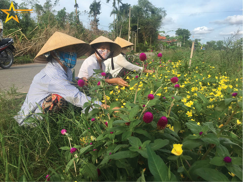 ĐẸP GÌ KHI CHỐI BỎ QUÊ HƯƠNG