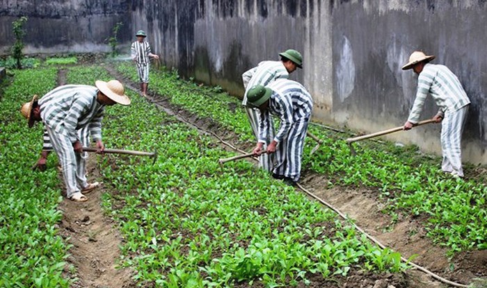 Cần hiểu đúng bản chất dự án một liên kết hợp tác của Trại giam Xuyên Mộc