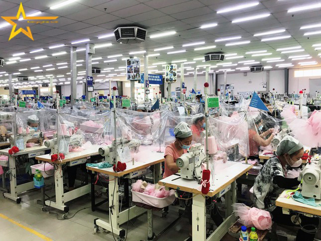 TT-HUẾ THU NGÂN SÁCH TĂNG TRƯỞNG BẤT NGỜ GIỮA ĐẠI DỊCH