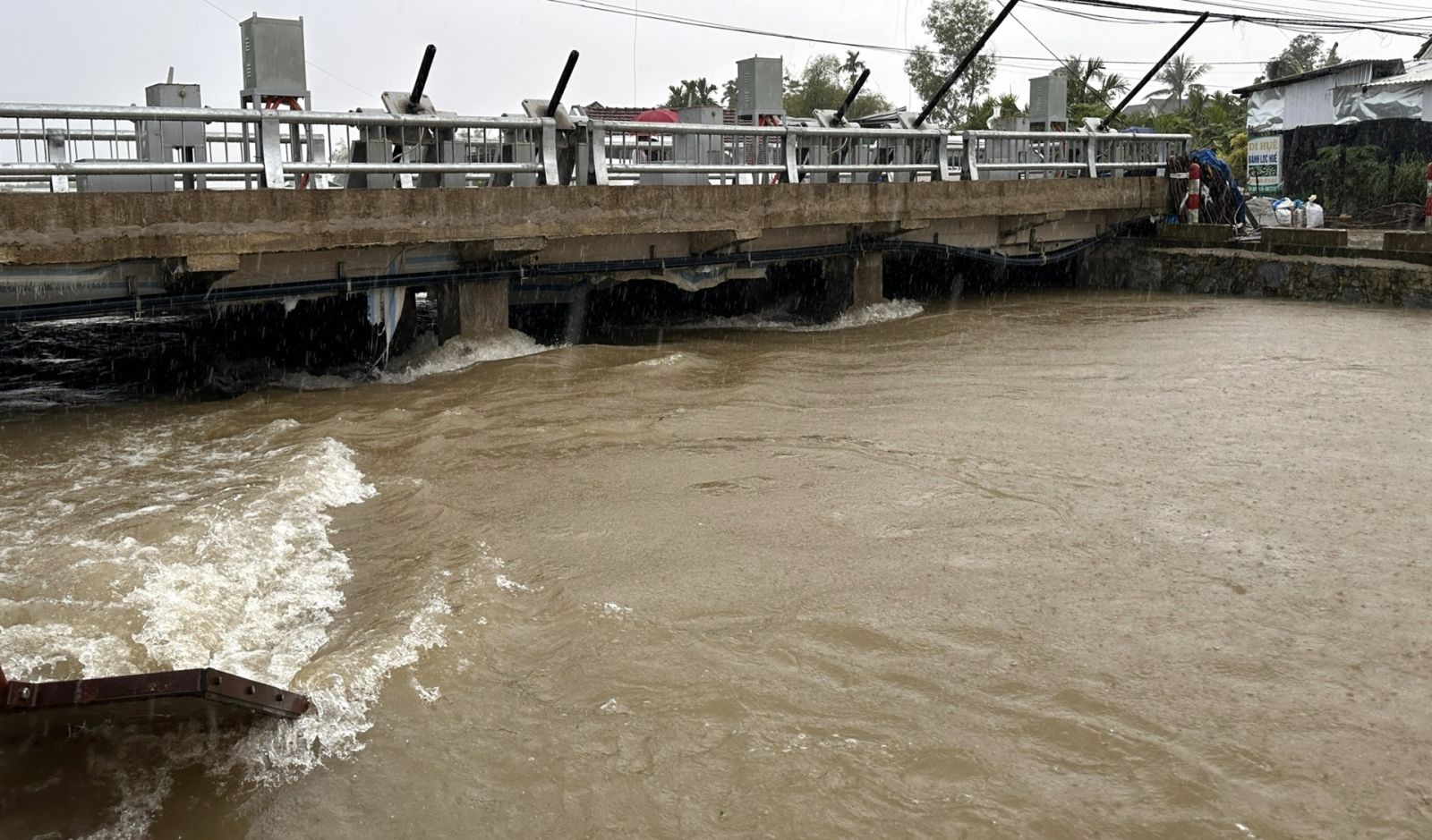 Chủ động ứng phó với bão số 12 (FENGSHEN) và mưa lớn