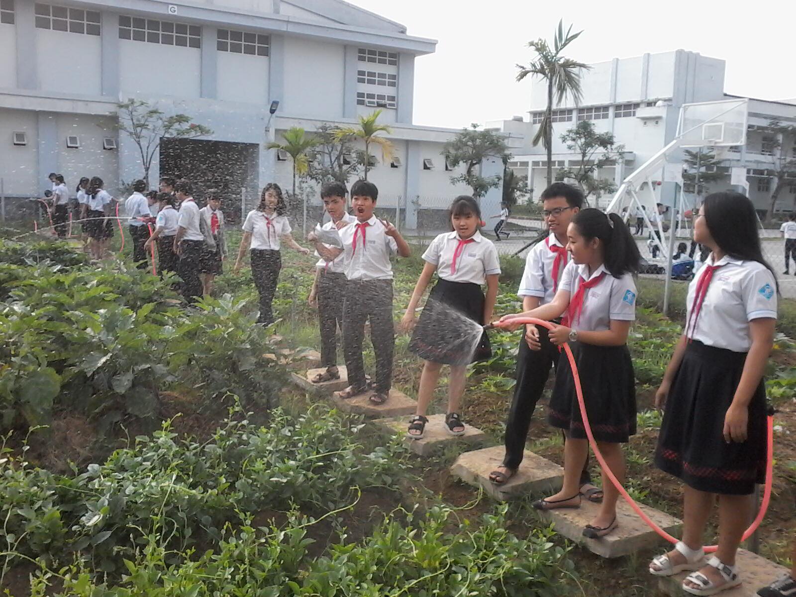 Huế thật đẹp với 