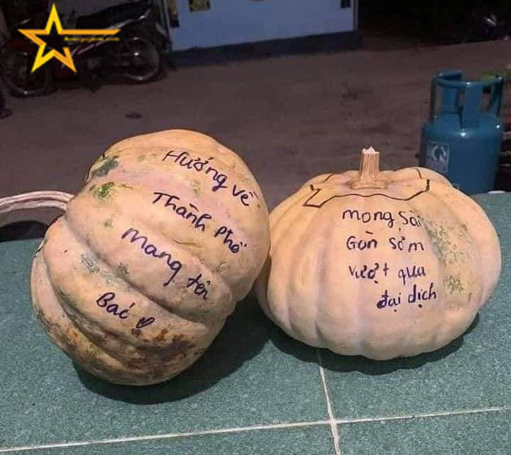TÌNH NGHĨA ĐỒNG BÀO