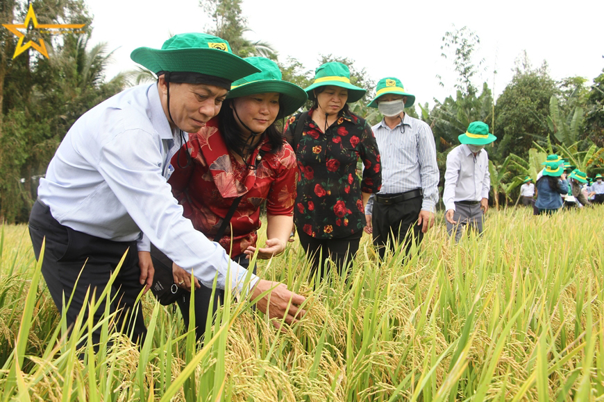 GIÚP ĐẢNG TRONG SẠCH, ĐỘI NGŨ VỮNG MẠNH
