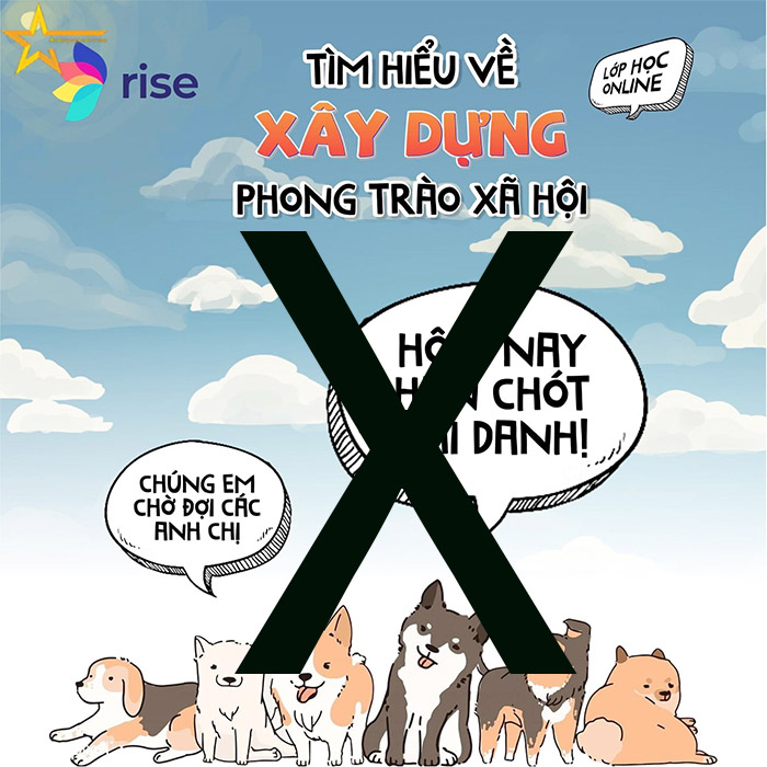 THỰC CHẤT NHỮNG KHOÁ HỌC CỦA CÁC TỔ CHỨC NGOẠI VI RISE, VOICE