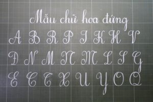THI TIẾNG VIỆT