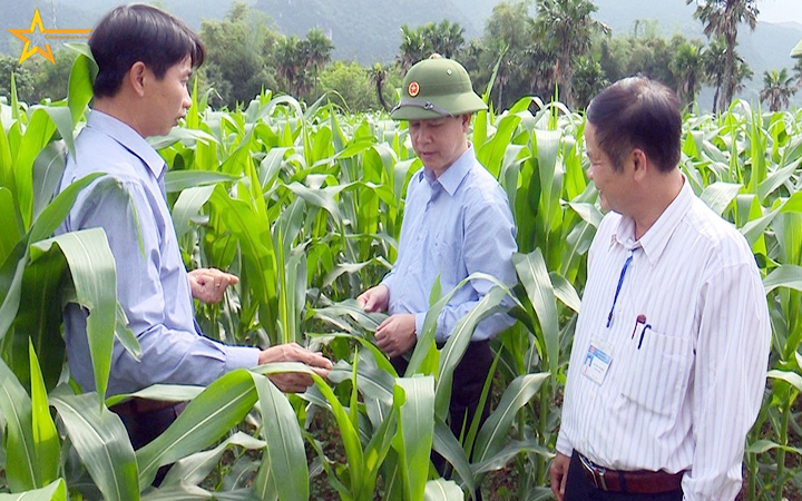 ĐẸP KHÔNG ĐÚNG CHỖ