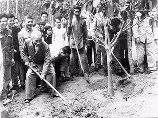 TÌNH YÊU THƯƠNG CỦA BÁC