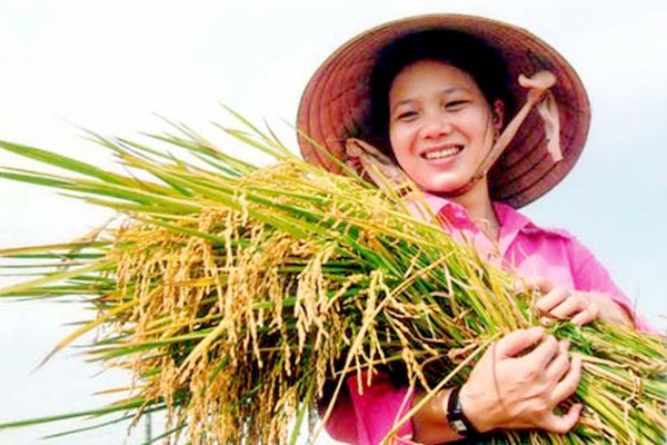 ĐẠI HỘI XIII ĐẢNG CỘNG SẢN VIỆT NAM - CON ĐƯỜNG ĐI ĐẾN NHỮNG THÀNH TỰU MỚI