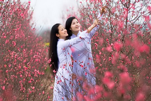 MÙA XUÂN - KHƠI DẬY NIỀM TIN