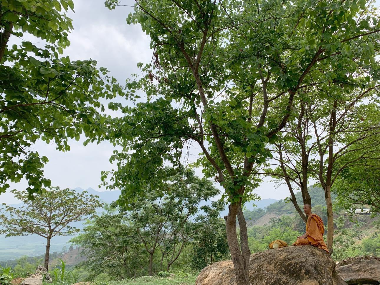 CÓ PHẢI ĐI THEO NHỮNG BƯỚC “BỘ HÀNH”  LÀ ĐÚNG VỚI TÂM NGUYỆN CỦA THẦY THÍCH MINH TUỆ?