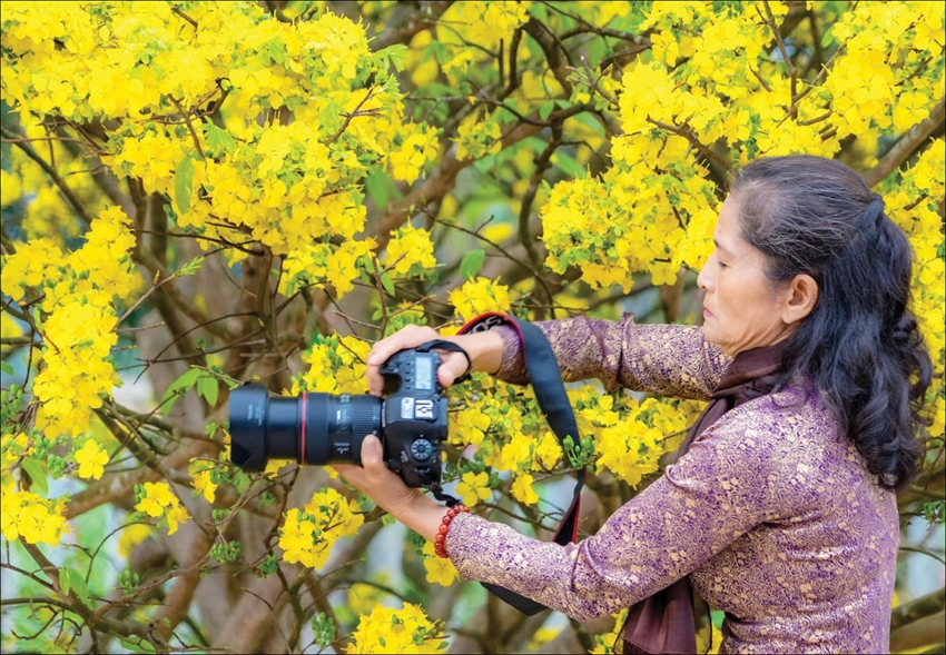 Lại nghĩ về “Mai vàng trước ngõ”!