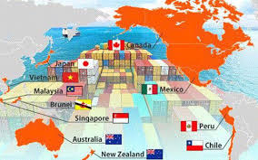 CPTPP mở rộng cửa cho doanh nghiệp Việt đầu tư vào Canada
