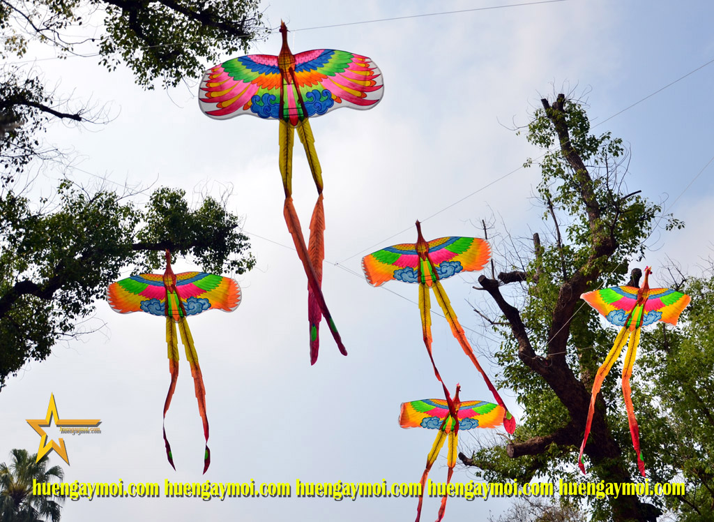 THƯỞNG LÃM VÀ TRẢI NGHIỆM DIỀU HUẾ 