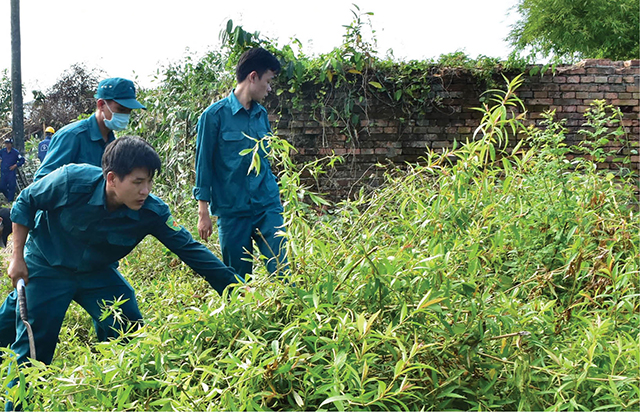 NGÀY CHỦ NHẬT XANH TRONG TRẠNG THÁI MỚI