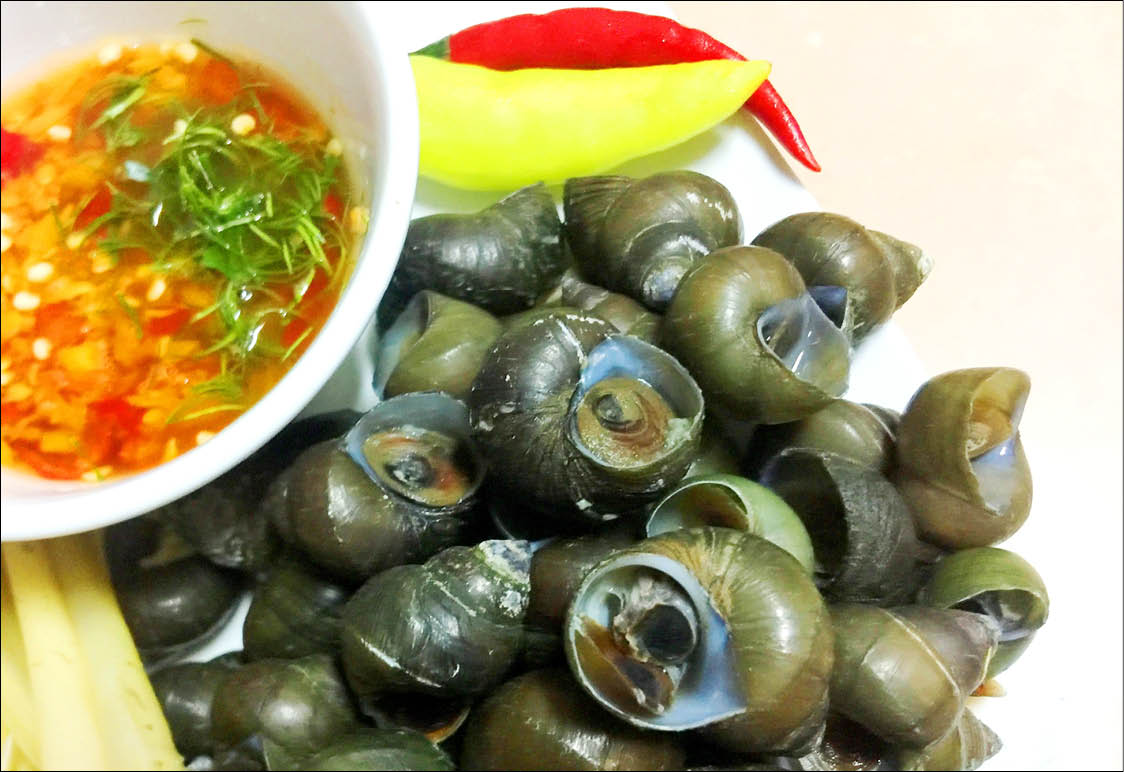 Thương con ốc suối
